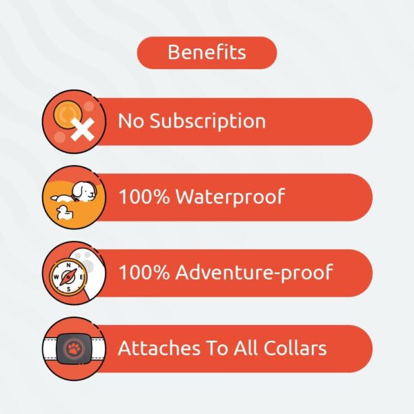 PitPat Dog Activity And Fitness Monitor (No GPS) - No Recharging or Subscription Required - Suitable for All Dogs And Fits All Collars - Smart Activity Tracker - 100% Waterproof Dog Fitness Tracker - Image 3