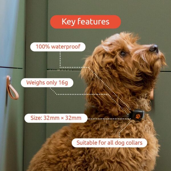 PitPat Dog Activity And Fitness Monitor (No GPS) - No Recharging or Subscription Required - Suitable for All Dogs And Fits All Collars - Smart Activity Tracker - 100% Waterproof Dog Fitness Tracker - Image 5