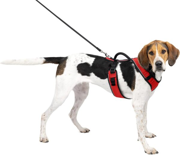 PetSafe EasySport Harness, Walking Harness for Dogs, Adjustable, Padded, Large-Red - Image 2