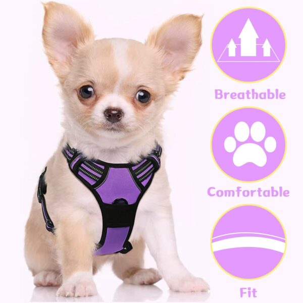 DKDDSSS Dog Harness Large Dog, No Pull Pet Harnesss, Adjustable Soft Padded Pet Vest Harness, Y Shaped Harnesss, Easy Control Handle for Training or Walking, Purple, L - Image 5