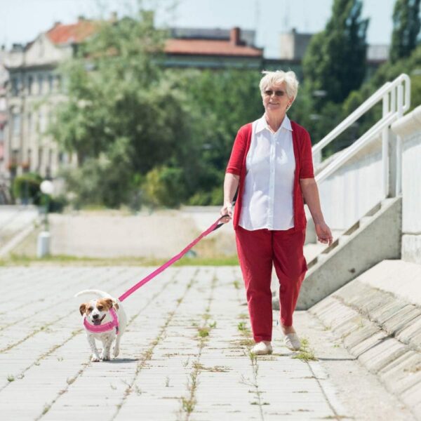 Eyein Dog Harness Small Dog, Anti Pull Heavy Duty Dog Harness and Lead Set, Easy for Walk Vest Harness Soft Padded Reflective Adjustable Anti-Twist Pet Lead Quick fit for Small Puppy Dog Cat(XXS) - Image 9