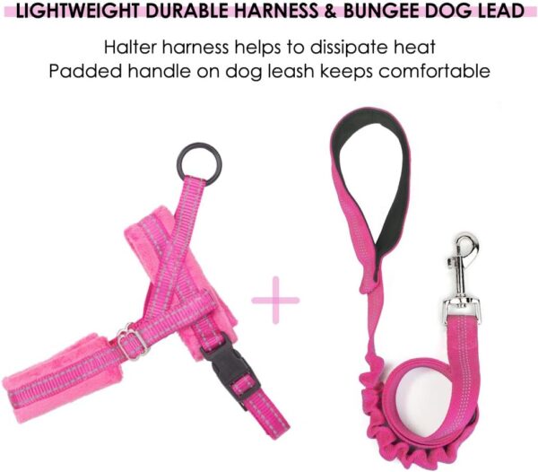 Eyein Dog Harness Small Dog, Anti Pull Heavy Duty Dog Harness and Lead Set, Easy for Walk Vest Harness Soft Padded Reflective Adjustable Anti-Twist Pet Lead Quick fit for Small Puppy Dog Cat(XXS) - Image 5