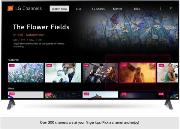 43 Inch Smart WebOS TV WiFi Freeview 2K FHD Frameless 3 HDMI 2 USB 220V UK - Image 7