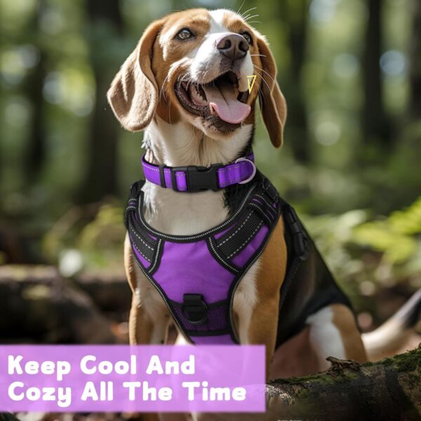 DKDDSSS Dog Harness Large Dog, No Pull Pet Harnesss, Adjustable Soft Padded Pet Vest Harness, Y Shaped Harnesss, Easy Control Handle for Training or Walking, Purple, L - Image 6