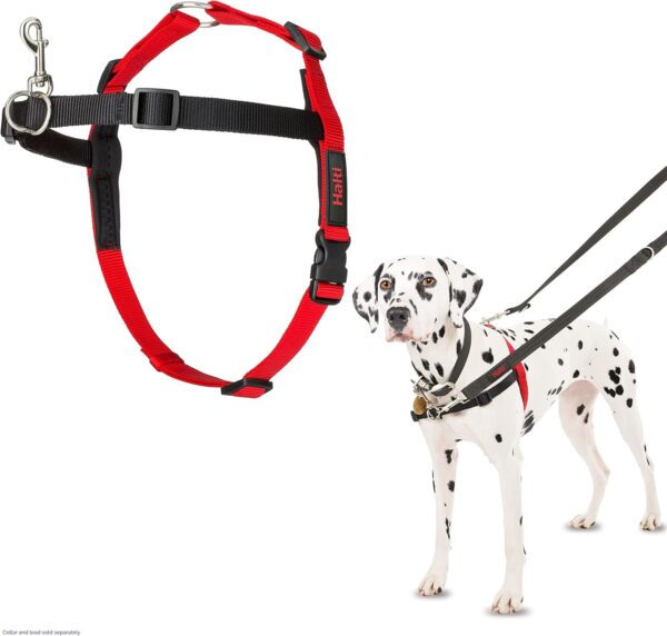 HALTI Front Control Harness, Size Medium, Bestselling Professional Dog Harness to Stop Pulling on the Lead, Easy to Use, Anti-Pull Training Aid, Front Leading No Pull Harness for Medium Dogs - Image 2