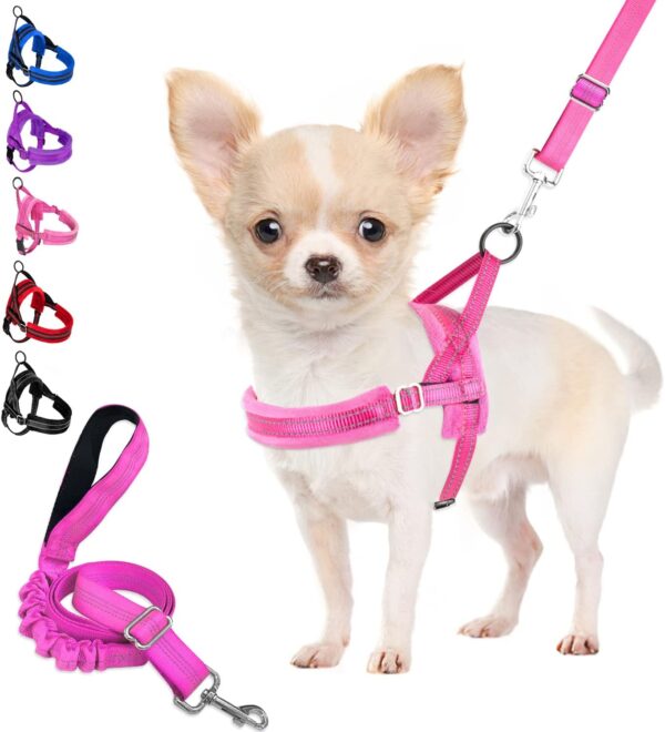 Eyein Dog Harness Small Dog, Anti Pull Heavy Duty Dog Harness and Lead Set, Easy for Walk Vest Harness Soft Padded Reflective Adjustable Anti-Twist Pet Lead Quick fit for Small Puppy Dog Cat(XXS) - Image 2