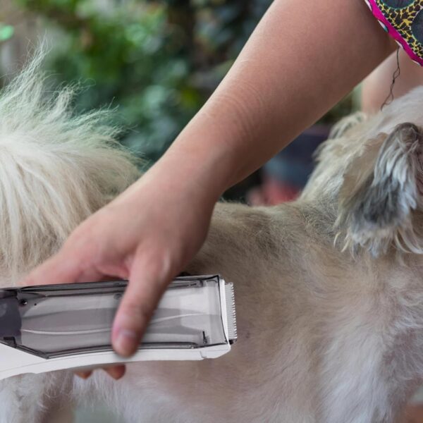 Dog Grooming Vacuum Cat Cutter, USB Quiet Razor, 3-Speed Suction Trimmer, Portable Grooming Kit, Clipper with Home Use Scenario - Image 3