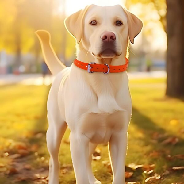 Orange Waterproof Dog Collar, Adjustable TPU Collar Strap Band Buckle Fits for Bark, Shock, Training Dog - Image 7