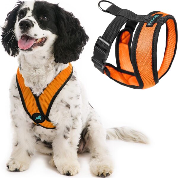 GOOBY Comfort X Head in Harness - Orange, Medium - No Pull Small Dog Harness Patented Choke-Free X Frame - On The Go Dog Harness for Medium Dogs No Pull or Small Dogs for Indoor and Outdoor Use - Image 3