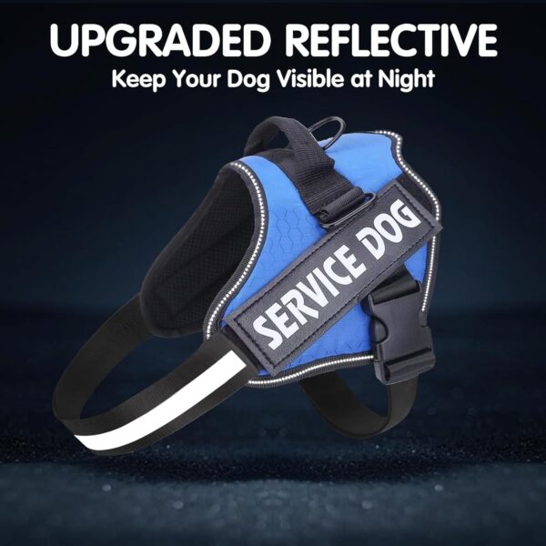 Belababy Soft No Pull Dog Harness X Small, Adjustable Assistance Service Dog Vest with Safety Buckle, Reflective Breathable Outdoor Training Dog Harness（Blue） - Image 7