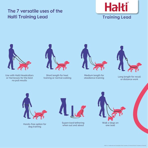 HALTI Headcollar Size 3, Black & HALTI Training Leash Size Large, Black Combination Pack - Stop Your Dog Pulling on the Leash. Adjustable, Lightweight with Padded Nose Band. Suitable for Medium Dogs - Image 4