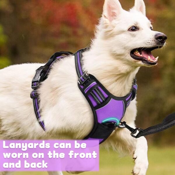 DKDDSSS Dog Harness Large Dog, No Pull Pet Harnesss, Adjustable Soft Padded Pet Vest Harness, Y Shaped Harnesss, Easy Control Handle for Training or Walking, Purple, L - Image 8