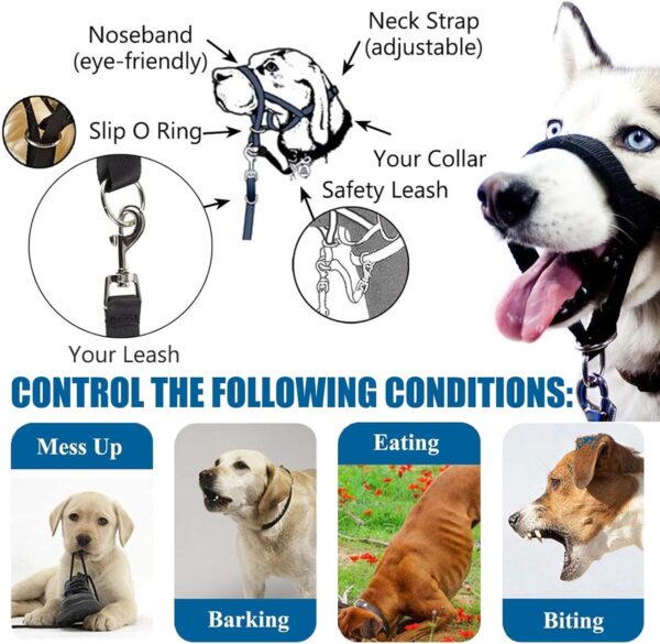 JSTHHTT 2PCS Head Collar, dog mouth harness, Head Collar for Medium Dogs, Adjustable Lightweight, Easy to Use, Adjustable and Easily Control, Professional Anti-Pull Training Aid (L,Black) - Image 6