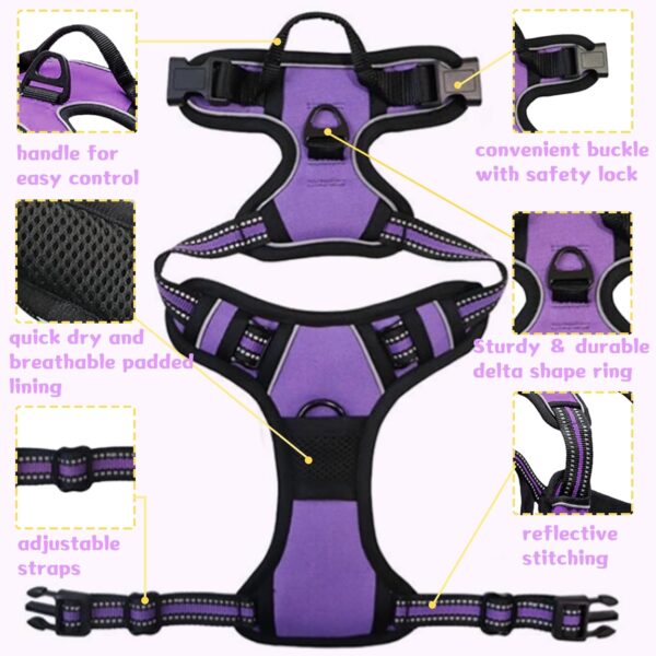 DKDDSSS Dog Harness Large Dog, No Pull Pet Harnesss, Adjustable Soft Padded Pet Vest Harness, Y Shaped Harnesss, Easy Control Handle for Training or Walking, Purple, L - Image 4
