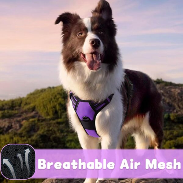 DKDDSSS Dog Harness Large Dog, No Pull Pet Harnesss, Adjustable Soft Padded Pet Vest Harness, Y Shaped Harnesss, Easy Control Handle for Training or Walking, Purple, L - Image 7