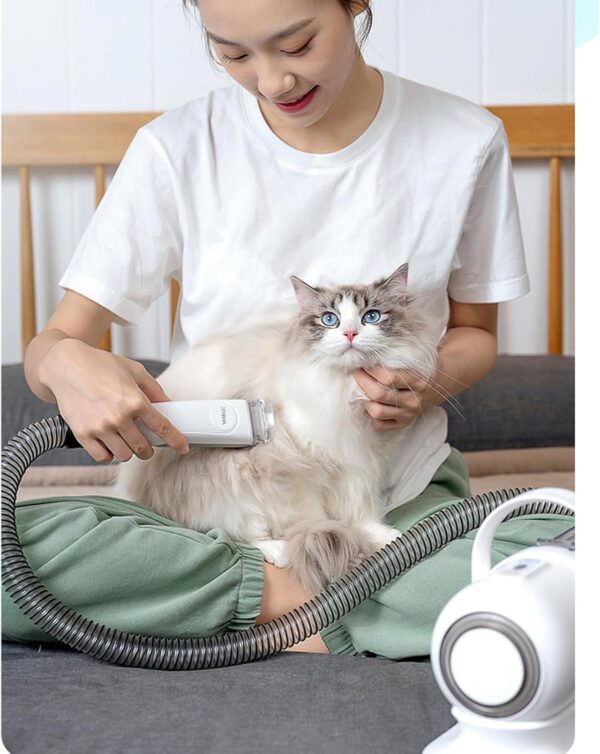 Pet Clipper Grooming Kit, Grooming Clippers Vacuum Suction 99% Pet Hair for Dogs Cats - Image 6