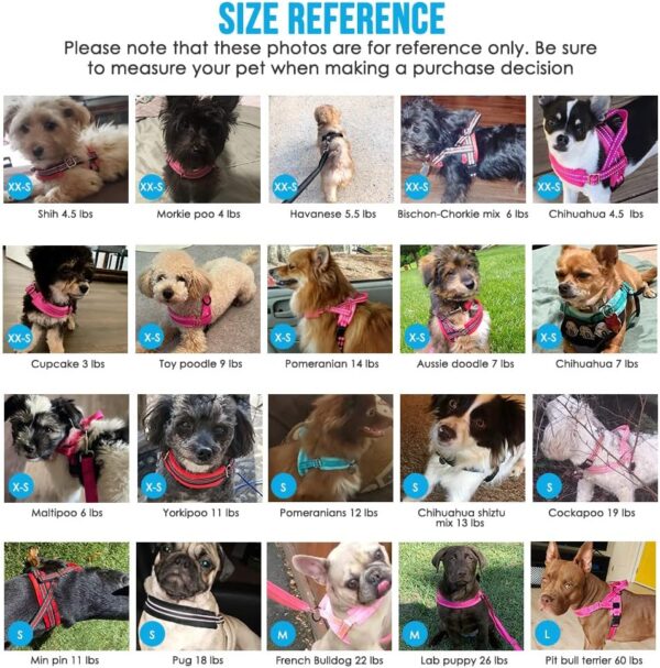 Eyein Dog Harness Small Dog, Anti Pull Heavy Duty Dog Harness and Lead Set, Easy for Walk Vest Harness Soft Padded Reflective Adjustable Anti-Twist Pet Lead Quick fit for Small Puppy Dog Cat(XXS) - Image 4