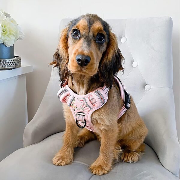 HEELE Dog Harness, Anti-Pull Reflective Dog Harness with Padded Handle for Medium Large Dogs, 1 Buckle on the Right Neck Strap Makes it Easy to Put on and Take Off, Floral-Pink, M - Image 5