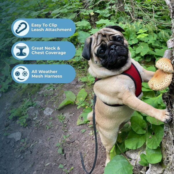 Best Pet Supplies Voyager Step-In Air Dog Harness – All-Weather Mesh Harness for Small and Medium Dogs – Red Base, XL - Image 4