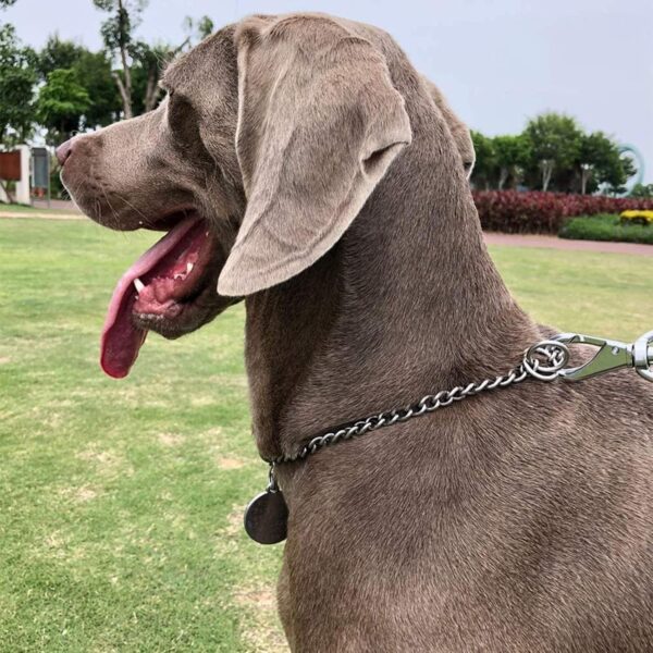 4mm X 65cm Choke Chain Metal Dog Chain Pet Training Choker Non-Slip Collar for Walk The Dog or Puppy Training Walking, WithTag Nameplate - Image 7