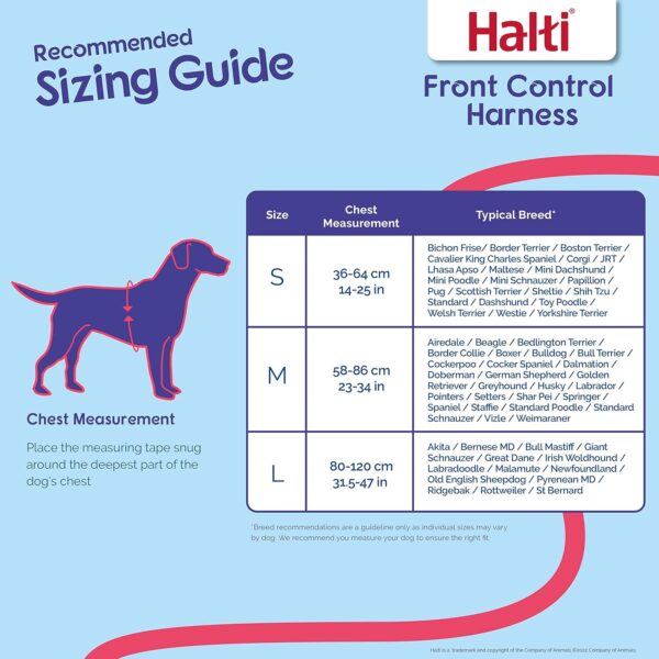HALTI Front Control Harness, Size Medium, Bestselling Professional Dog Harness to Stop Pulling on the Lead, Easy to Use, Anti-Pull Training Aid, Front Leading No Pull Harness for Medium Dogs - Image 4