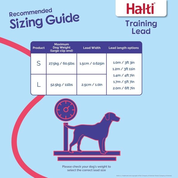 HALTI Headcollar Size 3, Black & HALTI Training Leash Size Large, Black Combination Pack - Stop Your Dog Pulling on the Leash. Adjustable, Lightweight with Padded Nose Band. Suitable for Medium Dogs - Image 5