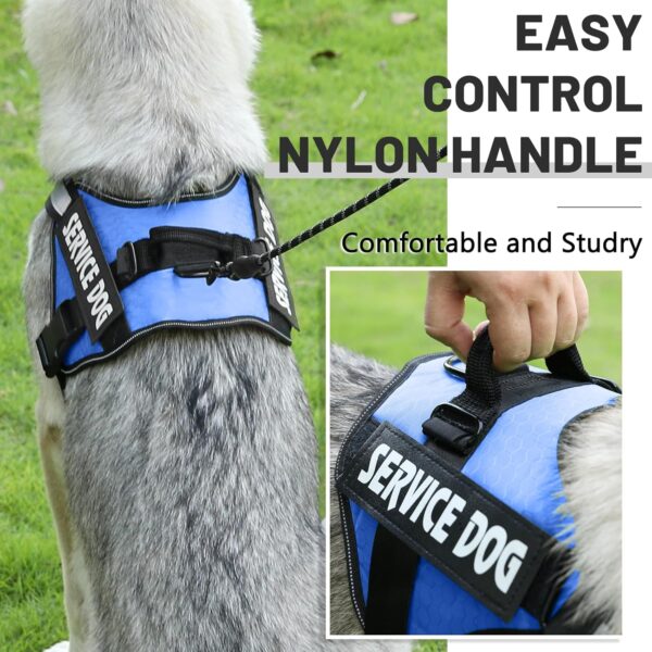 Belababy Soft No Pull Dog Harness X Small, Adjustable Assistance Service Dog Vest with Safety Buckle, Reflective Breathable Outdoor Training Dog Harness（Blue） - Image 6