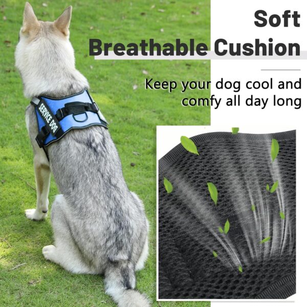 Belababy Soft No Pull Dog Harness X Small, Adjustable Assistance Service Dog Vest with Safety Buckle, Reflective Breathable Outdoor Training Dog Harness（Blue） - Image 5