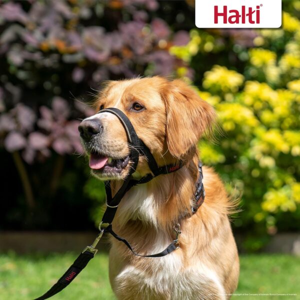 HALTI Headcollar Size 3, Black & HALTI Training Leash Size Large, Black Combination Pack - Stop Your Dog Pulling on the Leash. Adjustable, Lightweight with Padded Nose Band. Suitable for Medium Dogs - Image 6