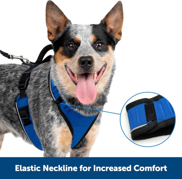 PetSafe EasySport Harness, Walking Harness for Dogs, Adjustable, Padded, Large-Red - Image 3