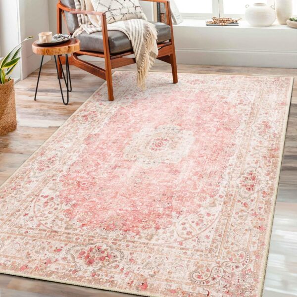 Castage Pink Rug 3x5,Washable Area Rugs for Bedroom Living Room Kitchen Entryway,Small Boho Vintage Bohemian Distressed Non Slip Carpet,Blush - Image 2
